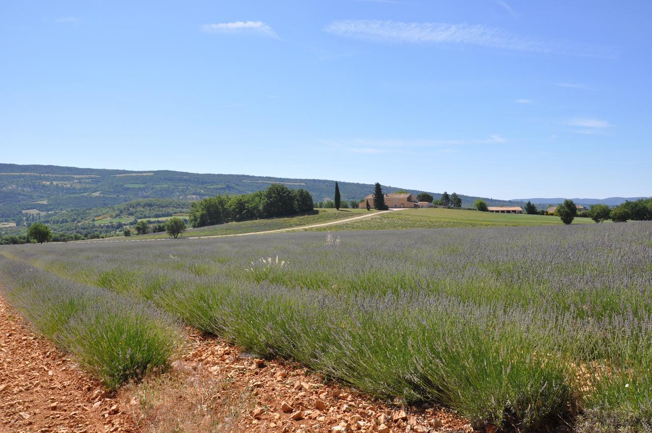 Domaine De Saint Quentin Bed and Breakfast Oppedette Exterior foto