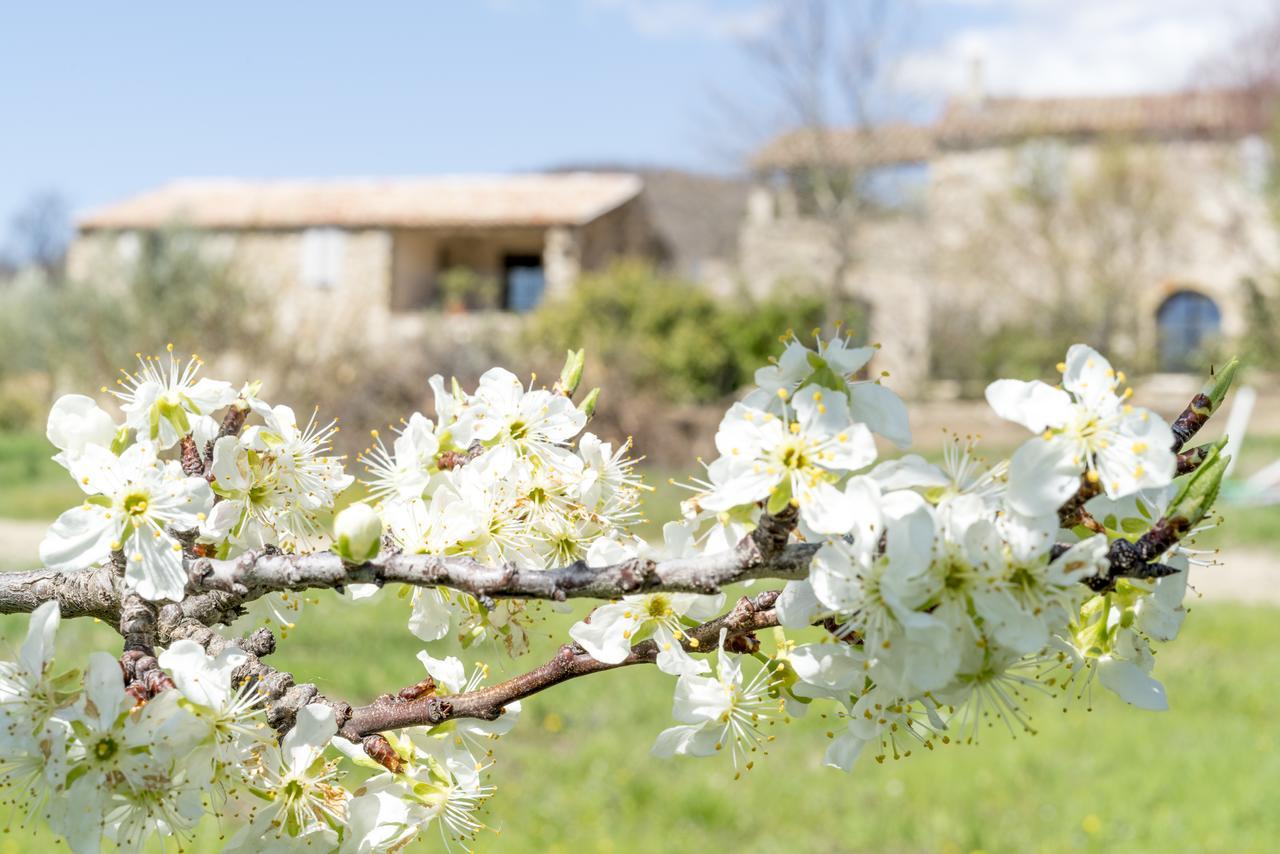 Domaine De Saint Quentin Bed and Breakfast Oppedette Exterior foto