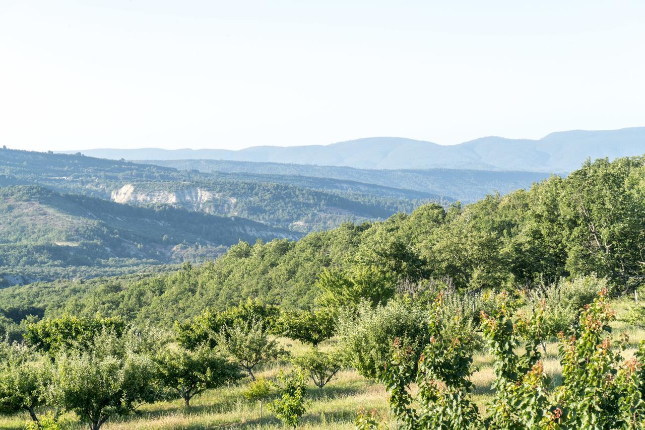 Domaine De Saint Quentin Bed and Breakfast Oppedette Exterior foto