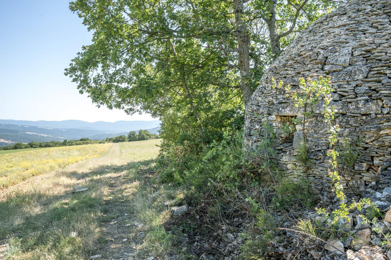 Domaine De Saint Quentin Bed and Breakfast Oppedette Exterior foto