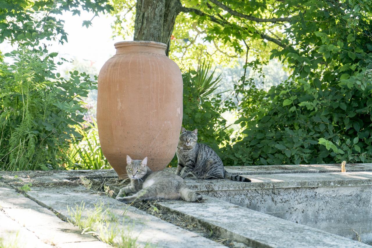 Domaine De Saint Quentin Bed and Breakfast Oppedette Exterior foto